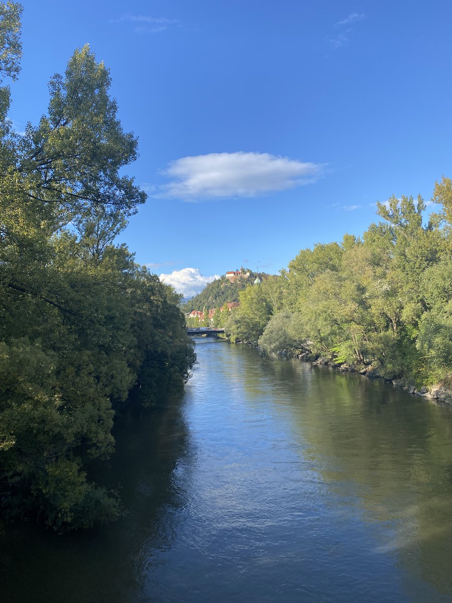 German@Reading tweet media