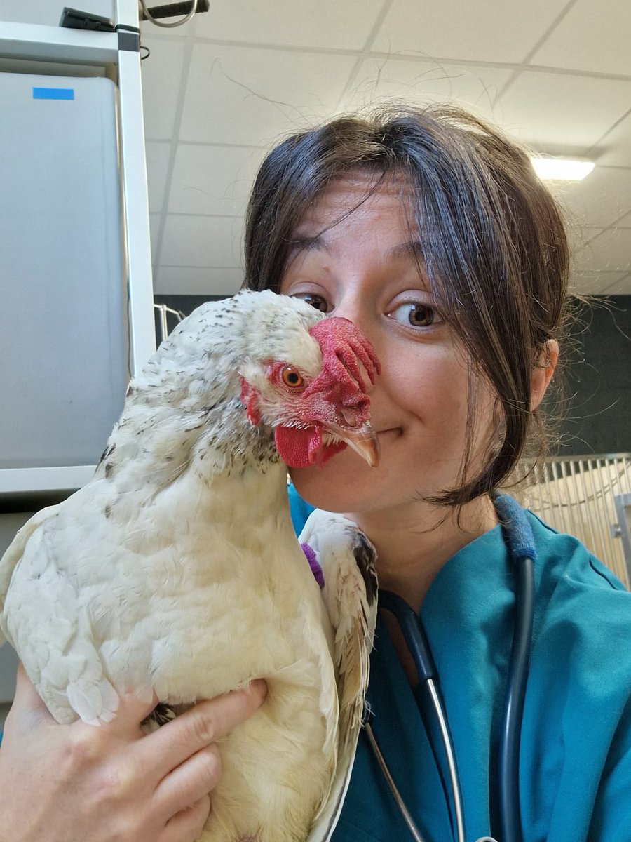 J-7 avant le congrès du GENAC : ça valait bien un selfie poule !