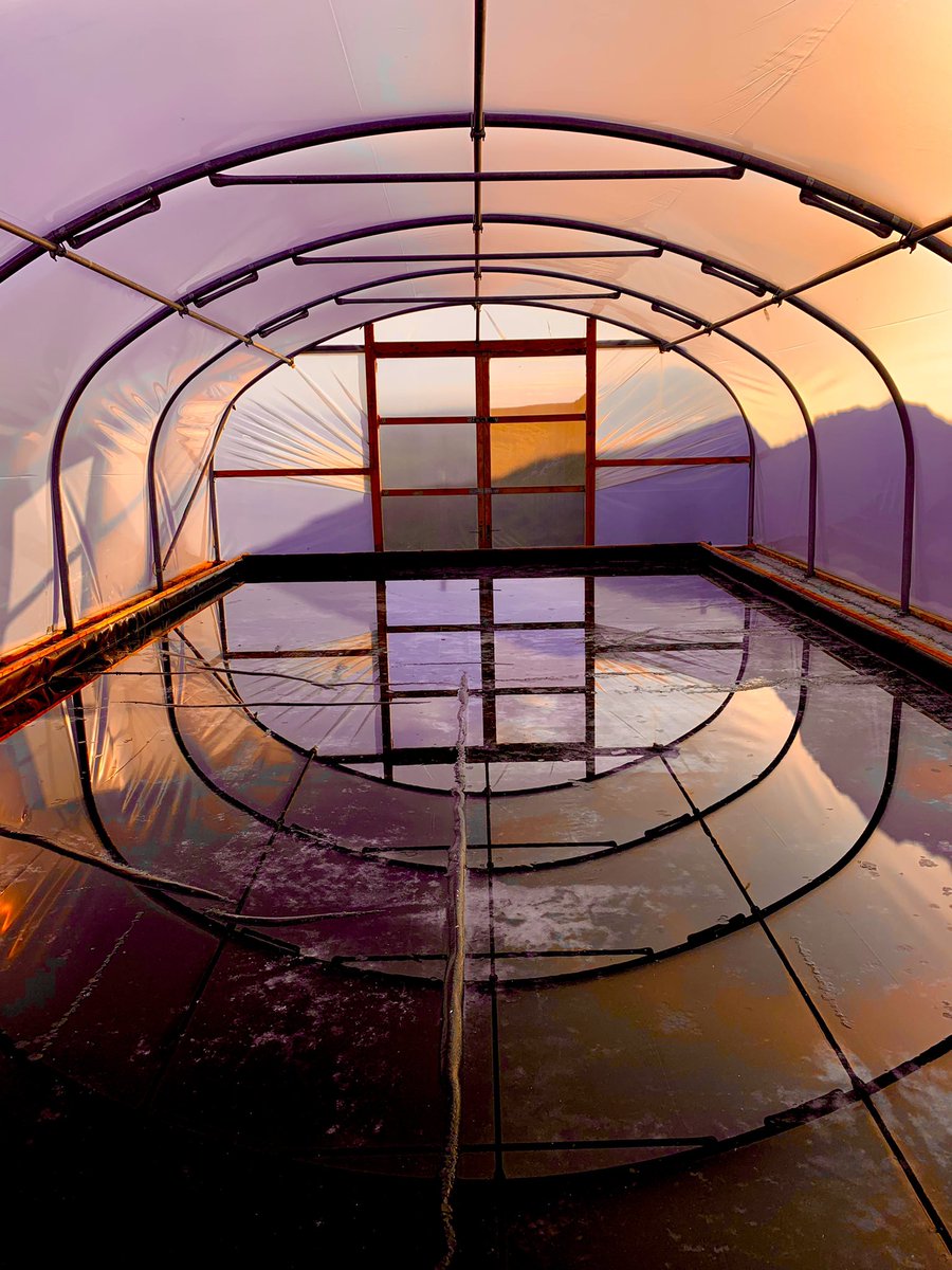 Gorgeous sunrise enchants our tunnel this morning. #seasalt #orsayseasalt #hebrides