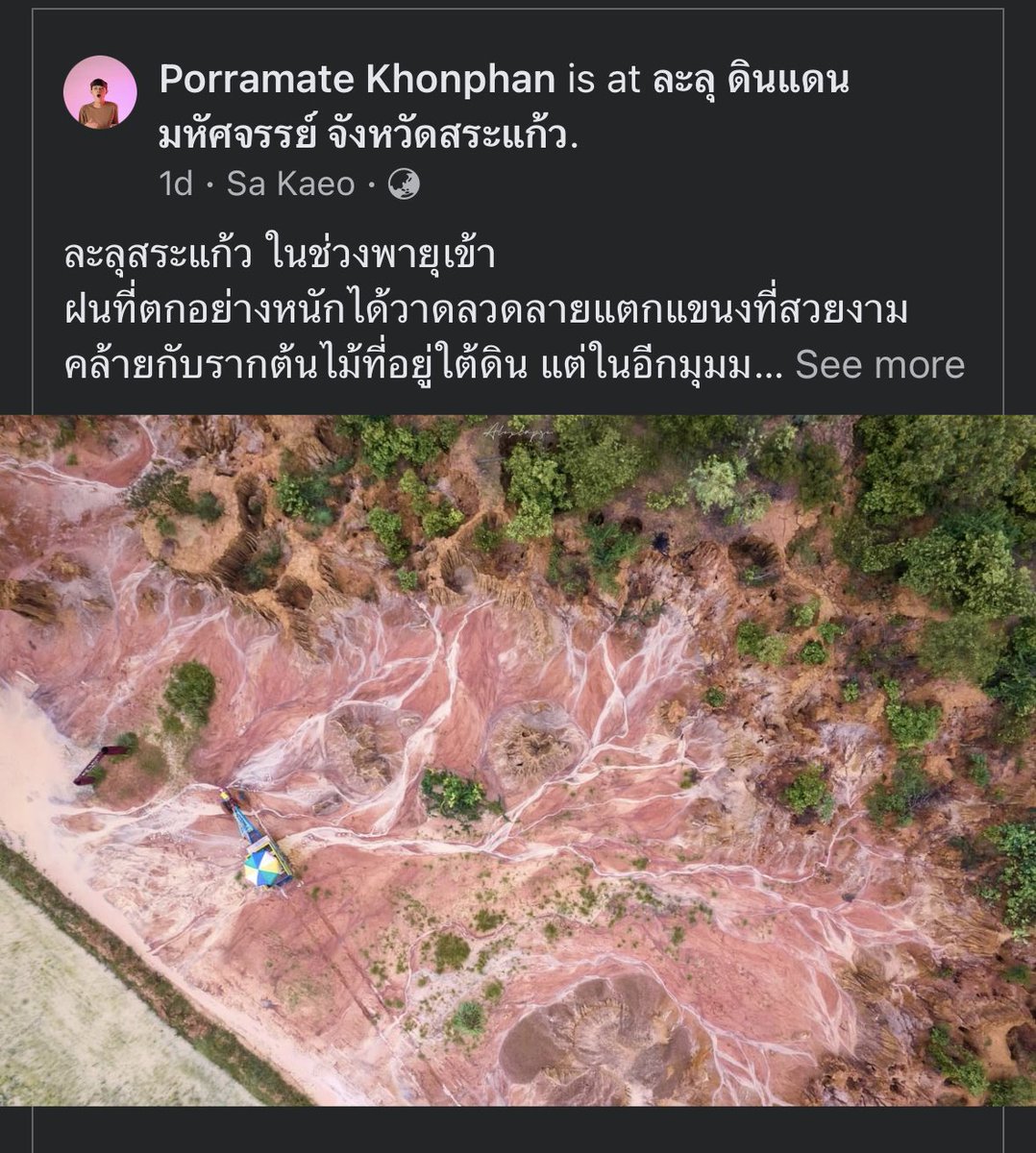 หมูสไลด์โรยต้นหอม