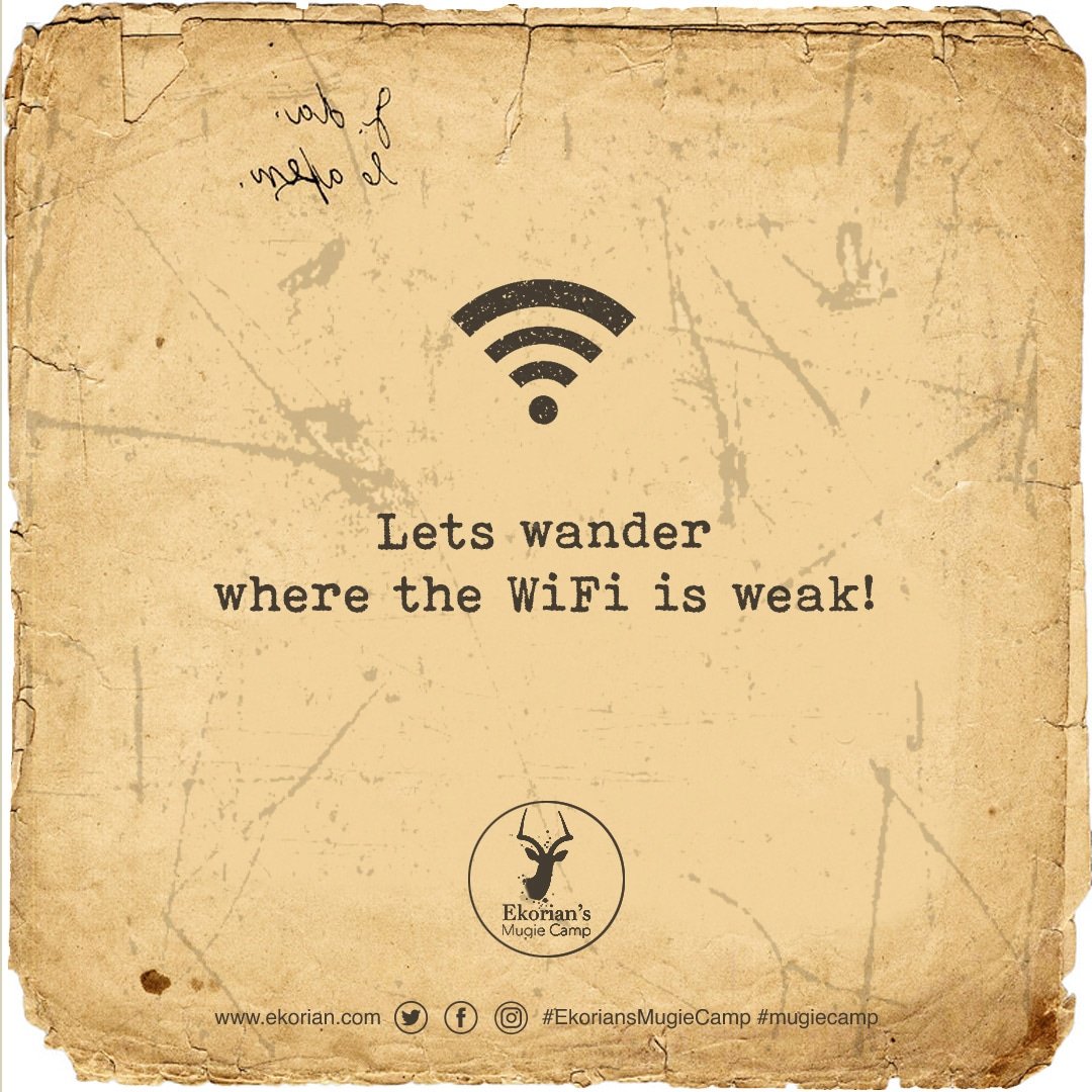 MugieCamp's tweet photo. LET'S GO GET LOST‼️🤓
#travel #travelquotes #travelquote #quotesoftheday #wanderlust #wanderlusting #adventureseeker #rusticgraphics #vintagegraphics #traveltherapy #quotestoliveby #quotesoftheday https://t.co/Vyi1lGoBgG