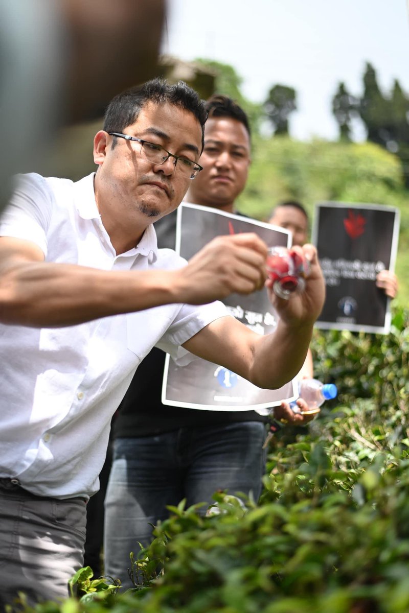 edwardsajoy's tweet photo. As a symbol of my protest against the owners and tea gardens who refused to give 20% bonus, today I went to a garden close to town and drew blood as a peaceful sign of protest. #bloodtea https://t.co/sjL4GVSRic