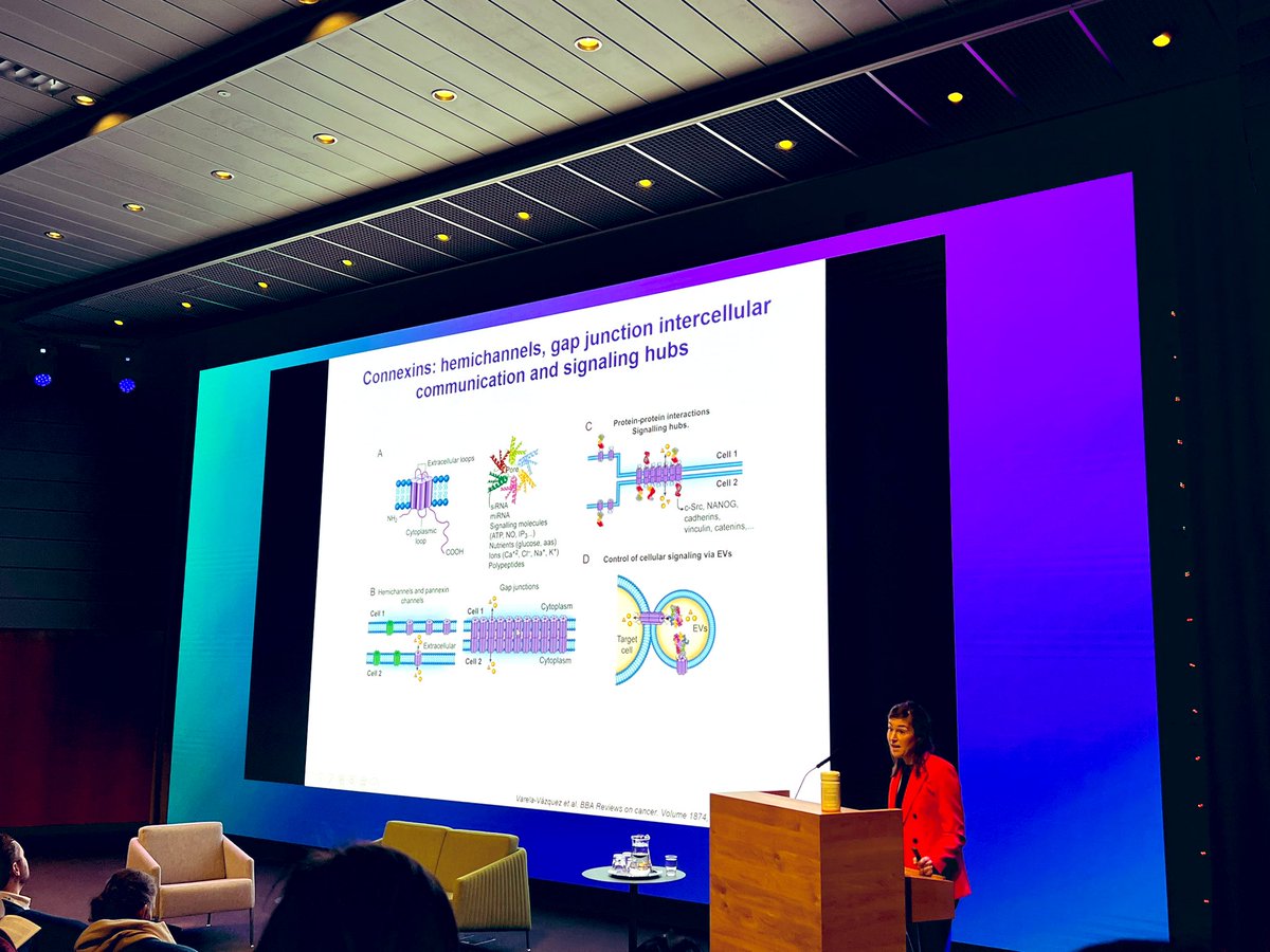 Dr. María D. Mayán (@mariadmayan) on Twitter photo Well done <a href="/PaulaCarpintero/">Paula Carpintero-Fernandez</a> !!👏🏻👏🏻👏🏻 Stay tuned many great results are coming from her project to improve efficacy and avoid resistance to CDK4/6 inhibitors in #breastcancer 💪🏼✍🏽🔬💊<a href="/ICSA_senescence/">International Cell Senescence Association</a> <a href="/ACIS_sergas/">Axencia Galega de Coñecemento en Saúde</a> Well done <a href="/PaulaCarpintero/">Paula Carpintero-Fernandez</a> !!👏🏻👏🏻👏🏻 Stay tuned many great results are coming from her project to improve efficacy and avoid resistance to CDK4/6 inhibitors in #breastcancer 💪🏼✍🏽🔬💊<a href="/ICSA_senescence/">International Cell Senescence Association</a> <a href="/ACIS_sergas/">Axencia Galega de Coñecemento en Saúde</a>