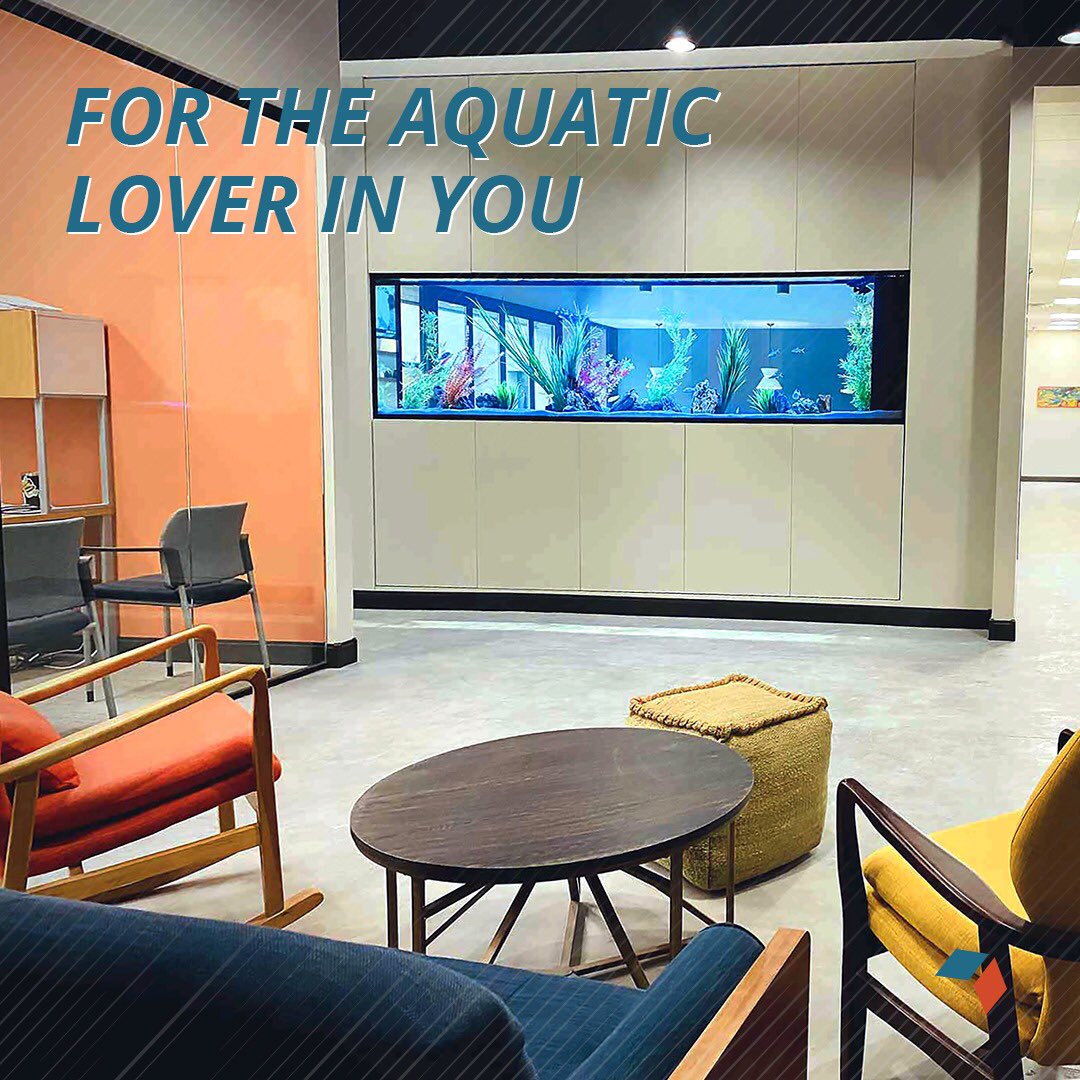 Don’t miss our beautiful aquarium designed to bring tranquil marine life to your workspace.Conference &amp; event rooms available with natural light &amp; unmatched amenities #HEXACoworking  
Don’t just take our word for it, book a tour bit.ly/3KG4839
 #coworking #dallas #Texas