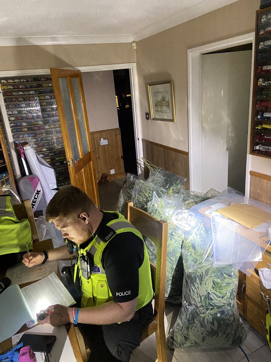 SolihullPolice's tweet photo. #Warrant | @RuralsWMP have today executed an emergency Warrant🚨

WOW😱 Approximately £500,000 worth of Cannabis seized from this property🚔 Electricity was also being bypassed‼️

Great result and more crime disrupted✔️ #TaskForceTeam https://t.co/IS78iw2DUh