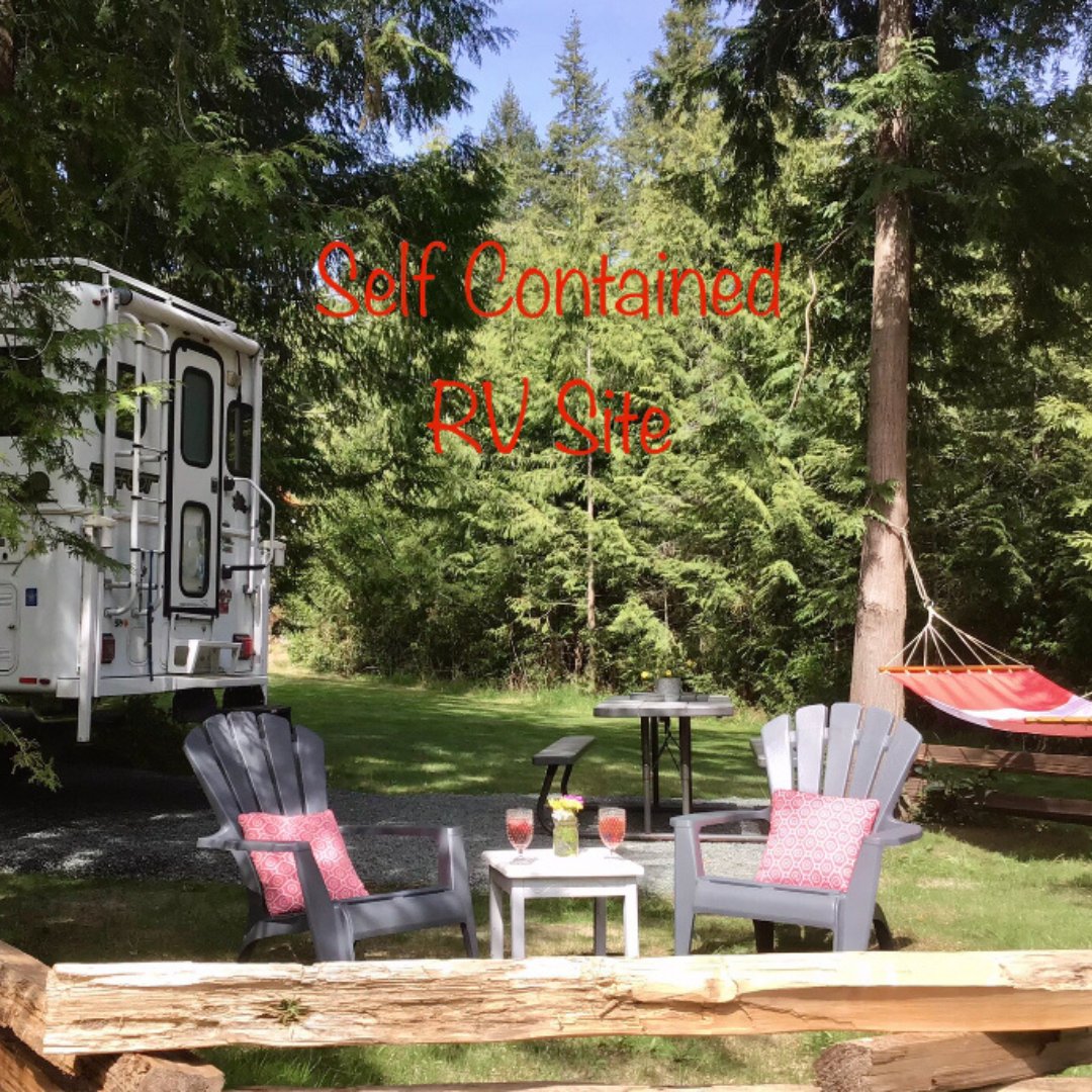 campertunity's tweet image. The weather called and apparently camping is still on this weekend!😎⛺️🌞

Book your stay with Rusty Gate Berry Farm today🫐
Visit campertunity.com🔗

#campertunity #fallcamping