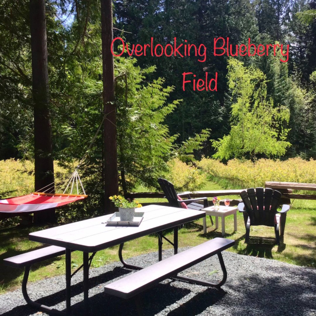 campertunity's tweet image. The weather called and apparently camping is still on this weekend!😎⛺️🌞

Book your stay with Rusty Gate Berry Farm today🫐
Visit campertunity.com🔗

#campertunity #fallcamping