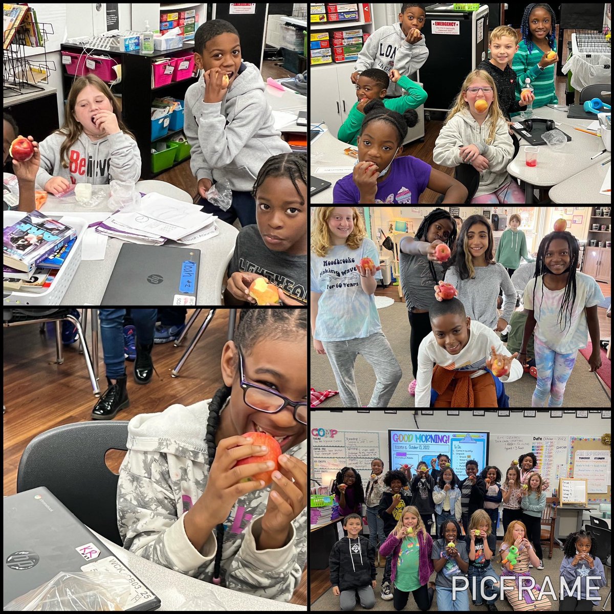 woodcreekelem's tweet photo. Happy Apple Crunch Day!🍎 Wood Creek scholars participated in #MIAppleCrunch Day to celebrate MI farmers, healthy children, &amp; strong communities! Thank you @FPSInformation Nutrition Services &amp; Elite Apple Co. for these delicious apples😋 #applecrunchday #fpssuccess #eliteapples https://t.co/OgaOywrWF6