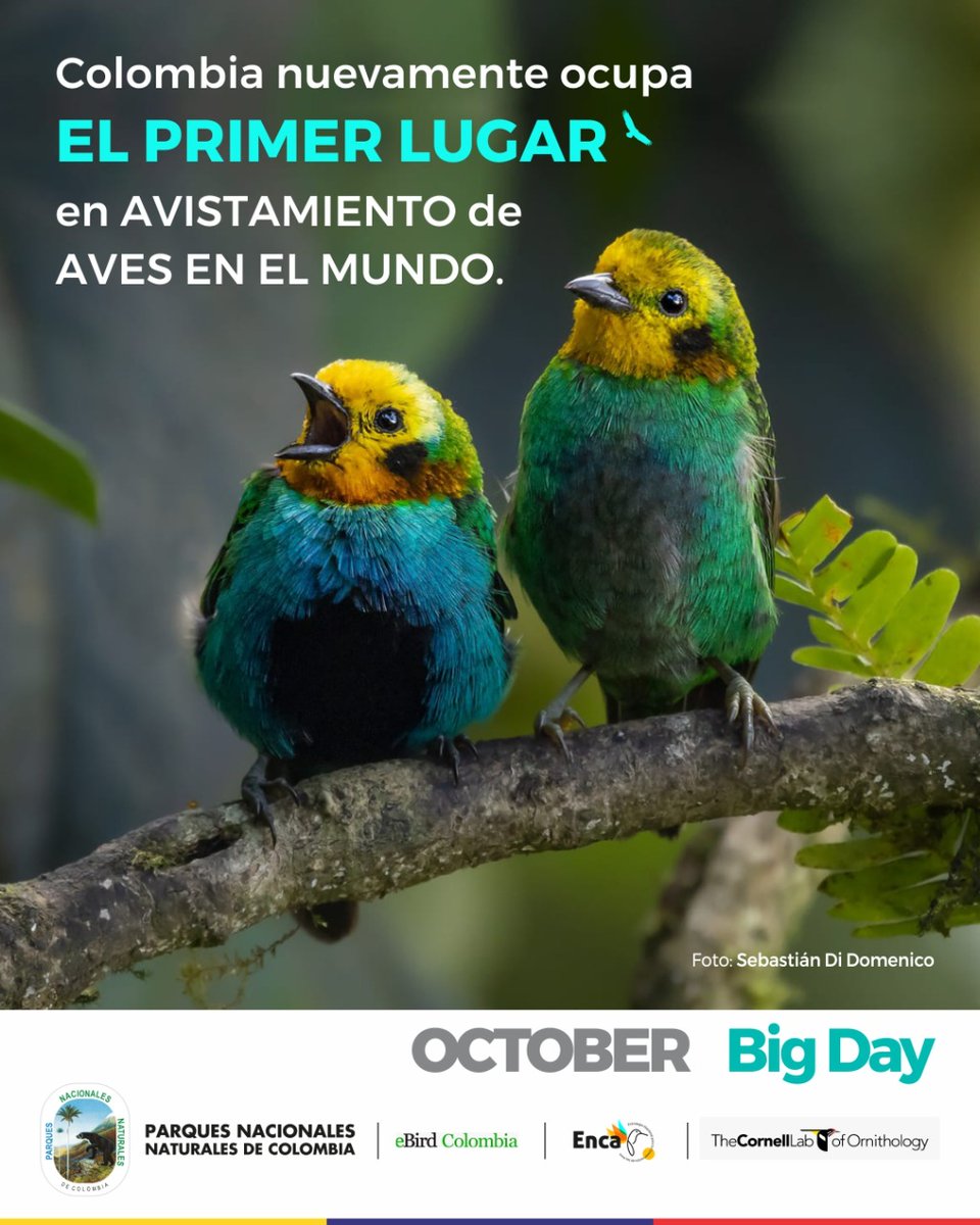 Parques Nacionales Naturales de Colombia tweet media
