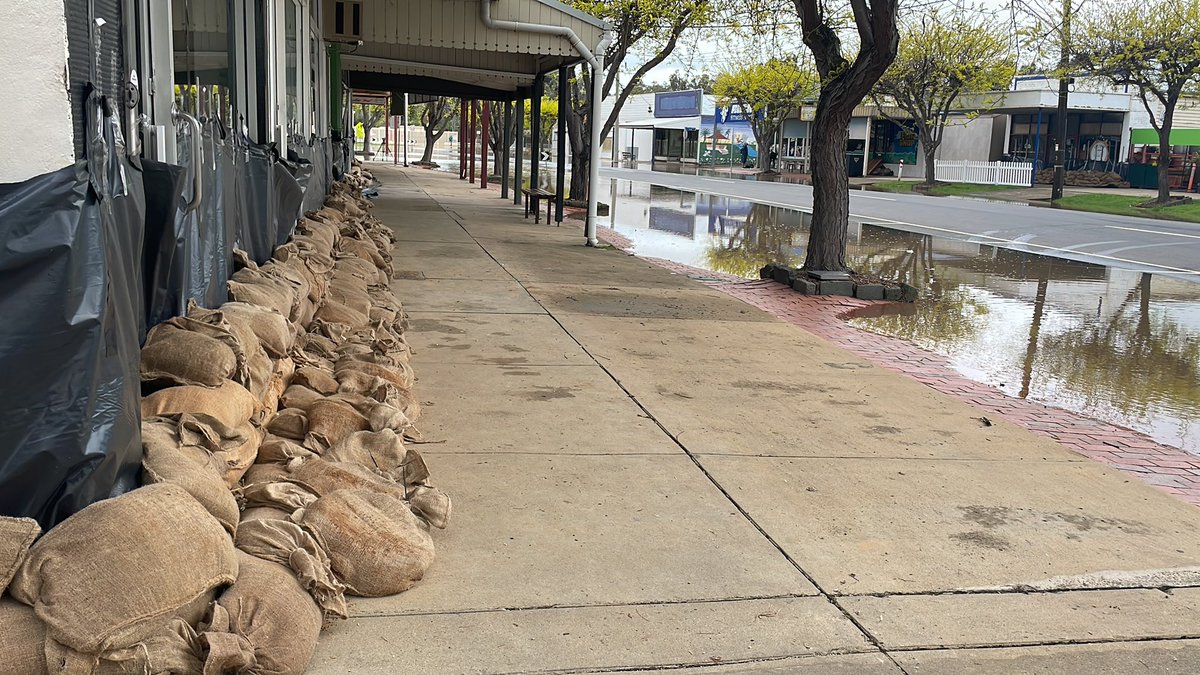 Sam Birrell tweet media