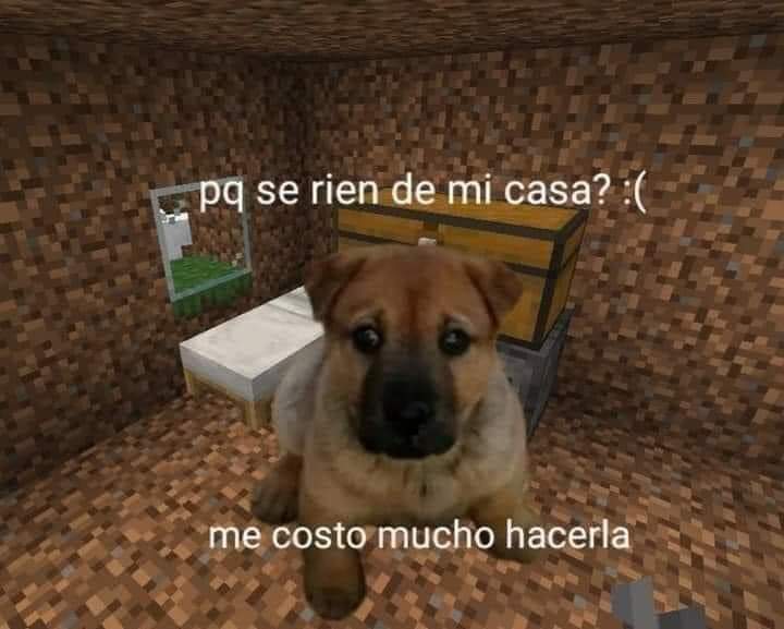 troloVE18's tweet photo. Yo cuando no sabia https://t.co/akEJLJgeun