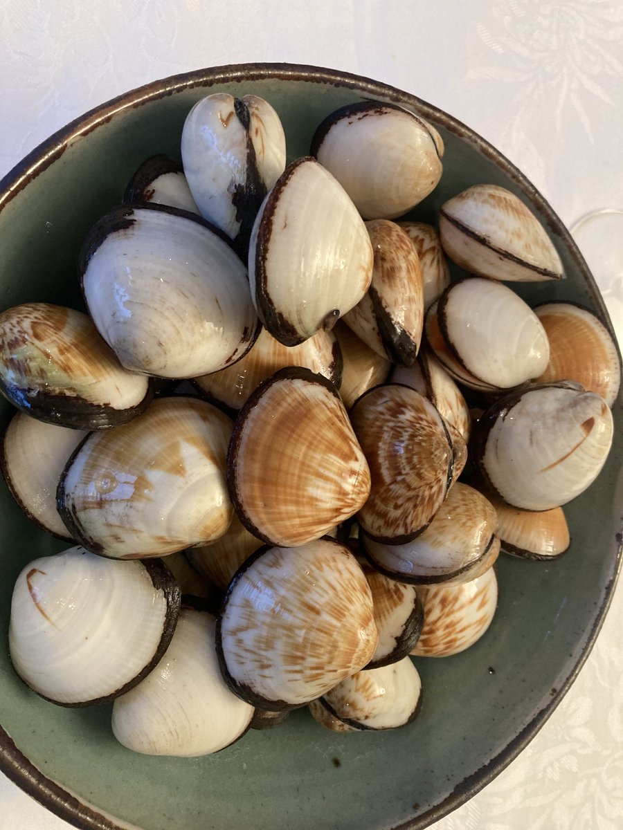 espositofood's tweet photo. Has been a long time since I’ve been here have found the most beautiful strawberry clams simple but amazing https://t.co/zoENacjb8p