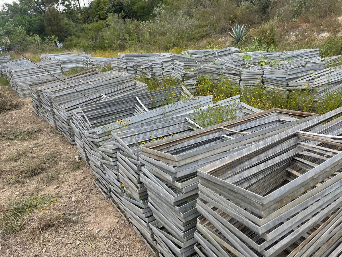 MAmbienteFAHHO's tweet photo. En la Sierra Sur en el vivero de Monjas, con la Autoridad Mpal. verificamos la donación de 458 mil árboles de 18 especies. Beneficiando a 92 localidades y 54 municipios de la Sierra Sur, Costa y V.Centrales, como parte de la #Reforestación Social que impulsa la FAHHO en el Estado https://t.co/jDvzPlchob