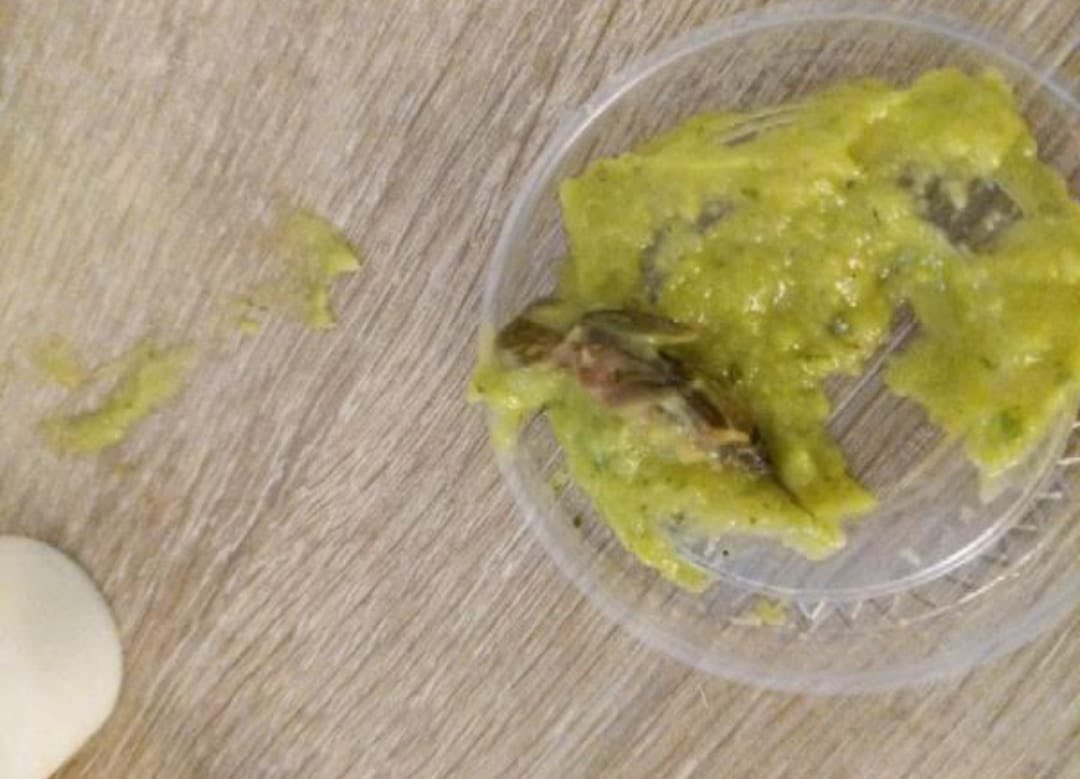 ManuelaCasta18's tweet photo. Nunca vayan a pedir a #QueChimbaePollo por @RappiColombia en @VIVA_CC Miren lo que me salió en el guacamole! Que 🤬! Quien sabe cuánta gente más comió de esa mierda contaminada! 🤮🤢 #rappi https://t.co/NhOOpVNvZK