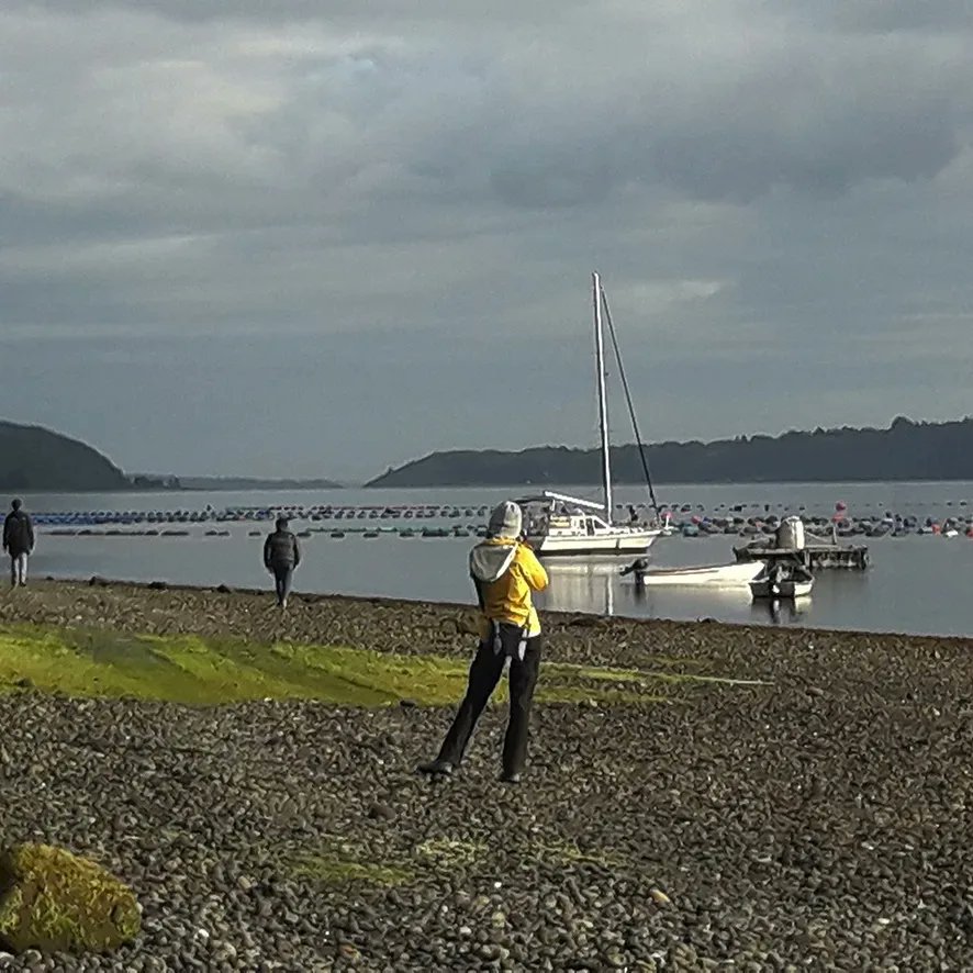 PlanVChile's tweet photo. Yates Patagonia Norte 4 días 3 noches desde Puerto Montt https://t.co/a4IndlvQoD