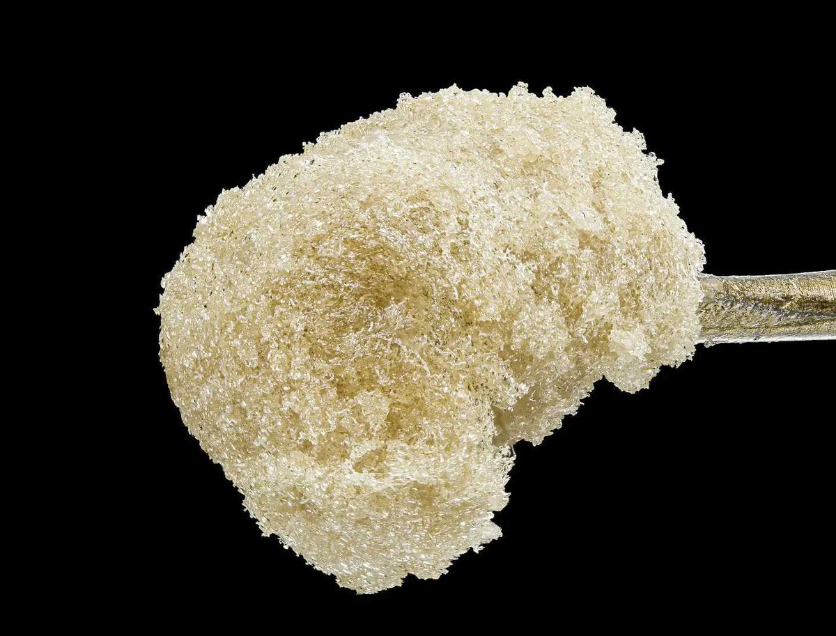 Which solventless extract do you prefer: Fresh Press, Cold Cured, or Ice Water Hash?
#MavenGenetics #Mmemberville #rosin #icewaterhash