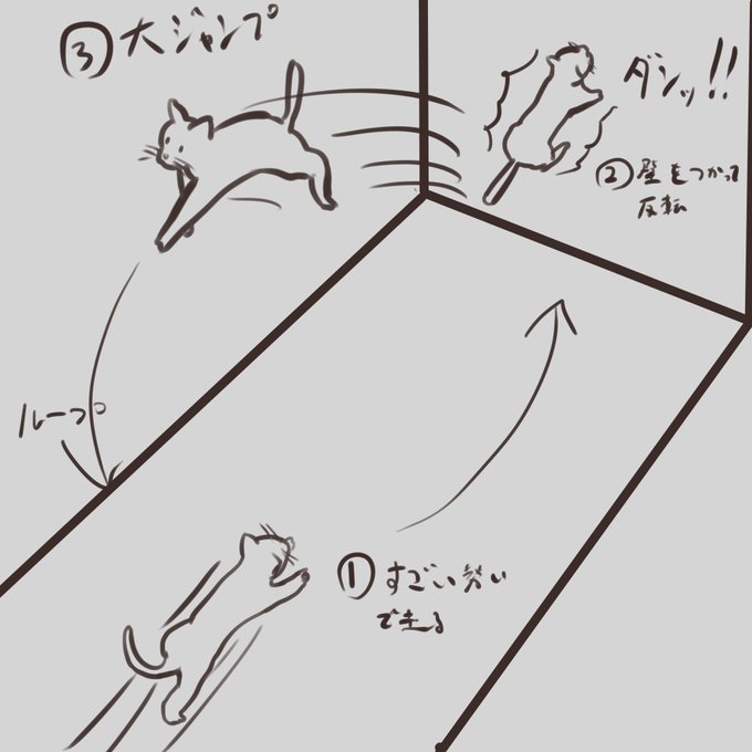 最近うちのねこがはまってる遊び
壁に穴あかないか心配なんですけどぉ・・・ 