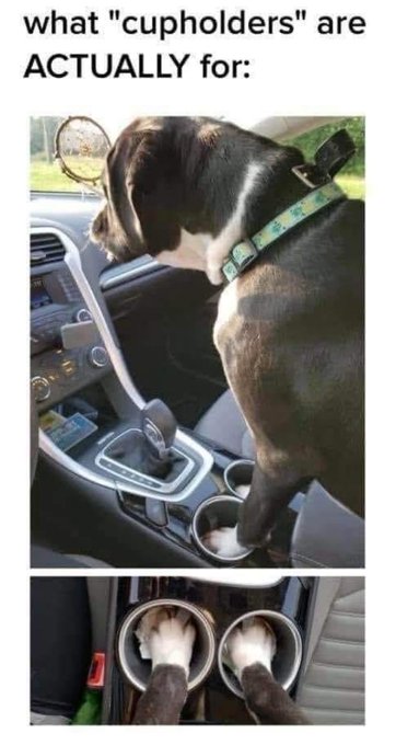 Watch Radagonnn86's leaked NSFW photo on TwXstars