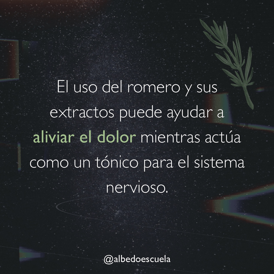 AlbedoEscuela's tweet photo. El uso del romero y sus extractos puede ayudar a aliviar el dolor (analgesia) mientras actúa como un tónico para el sistema nervioso, aliviando los síntomas de estrés, depresión y ansiedad. Inhalar el olor de romero puede ayudar a incrementar nuestra memoria hasta el 75%. https://t.co/PhpGsUt727