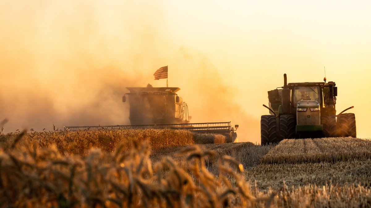 How do our farmer-owners describe the cooperative system? Efficient, convenient, flexible and supportive are words that come to mind for this Minnesota farmer. Here’s why. bit.ly/3MxDoUE