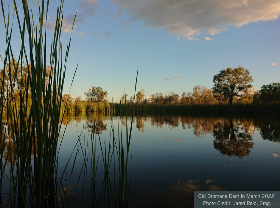 The Gwydir River Selected Area Flow-MER project monitors six scientific ‘indicators’ to help us understand the impact of water for the environment on the landscape, plants, and animals. To read the whole issue: 2rog.com.au/news/3076/ #theCEWH #UNE #NPWS #DPIFisheries