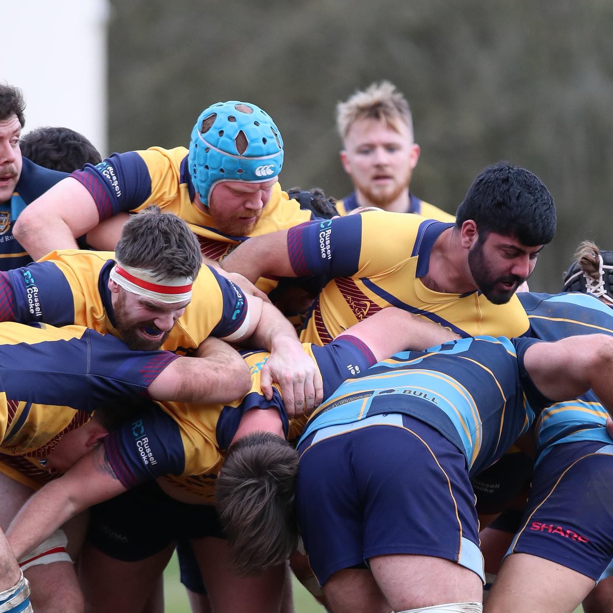 CobhamRFC's tweet photo. Cobham travel to @windsorrugby this Saturday. 

For any Windsor fans, there's a club lunch to get stuck into before the game at 3pm.  

For Cobham fans, an opportunity to cheer on #OneCob.

50th Cobham caps for vice-captain Luke Bliss, Louis Porter &amp; Ryan Aujla https://t.co/tHATncBl5F