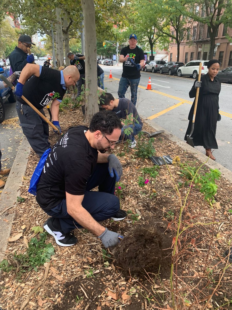 beam_living's tweet photo. We are grateful to the communities we serve, and today we give back to them. For @CoreGiving Day, we are rolling up our sleeves to make Adam Clayton Powell Jr. Malls a refuge for native pollinator species by replacing non native plants with native flowering perennials.  #BTTY https://t.co/XABbIY48GU