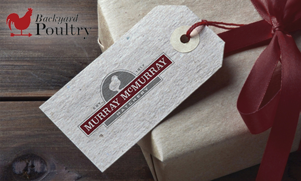 Get started on or add to your flock today! One very lucky winner will receive a $250 gift certificate to <a href="/MurrayMcMurray/">Murray McMurray Hatchery</a>. Valid on any baby poultry purchase at McMurrayHatchery.com. Enter for your chance now! backyardpoultry.iamcountryside.com/sweepstakes/fa…