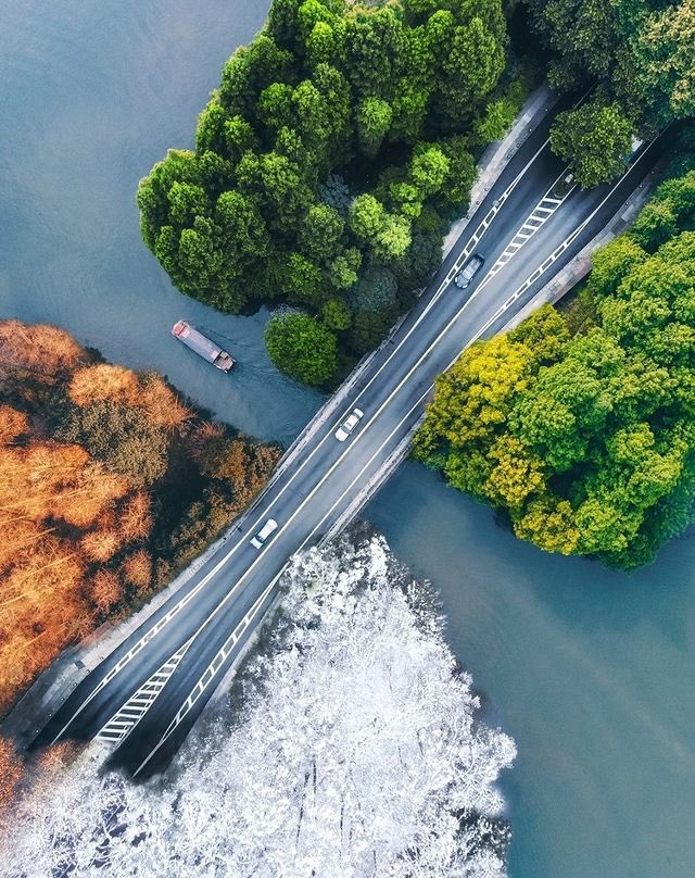 expressions77's tweet photo. Gorgeous🍃
#nature  #outdoor  #beauty  #landscapes https://t.co/NkbPSwyiGq