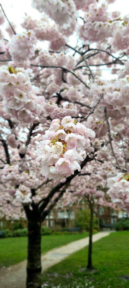 andersonguist's tweet photo. @BraydenCreation https://t.co/th8IoQLwCt