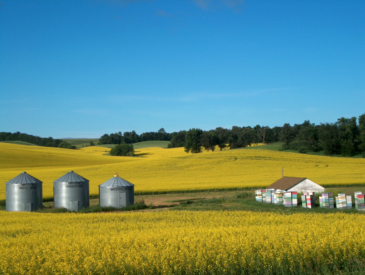 esassoc's tweet photo. 👨‍🌾🚜 We're excited to share news that the province of #Manitoba, #Canada, has launched the online Environmental Farm Plan (EFP) platform built by ESA's #TechnologyServices team for farmers to establish #SustainableFarming practices &amp; meet climate goals! https://t.co/WD13di7Ci2 https://t.co/D8KRq39Od8