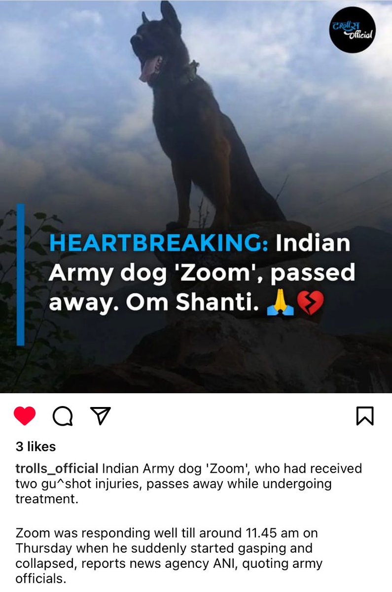 devika_bajaj777's tweet photo. One of the most saddest news I came across today . Om Shanti you beautiful Angel soul rest easy 🕊🤍 #dog #armydog #ARMY #doglover https://t.co/xMUXrUXAyf