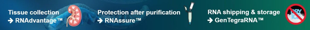 GenTegraLLC's tweet photo. Less than 2 weeks away from #ASHG22! Come meet us at booth #904 to learn more about stabilizing your precious samples with our 𝐑𝐍𝐀 𝐏𝐫𝐨𝐭𝐞𝐜𝐭𝐢𝐨𝐧 𝐟𝐫𝐨𝐦 𝐁𝐞𝐠𝐢𝐧𝐧𝐢𝐧𝐠 𝐭𝐨 𝐄𝐧𝐝. 
https://t.co/dqiFvHrinE
 
#ASHG #RNA #RNAseq #RNAsequencing https://t.co/JiyYk2xv6u