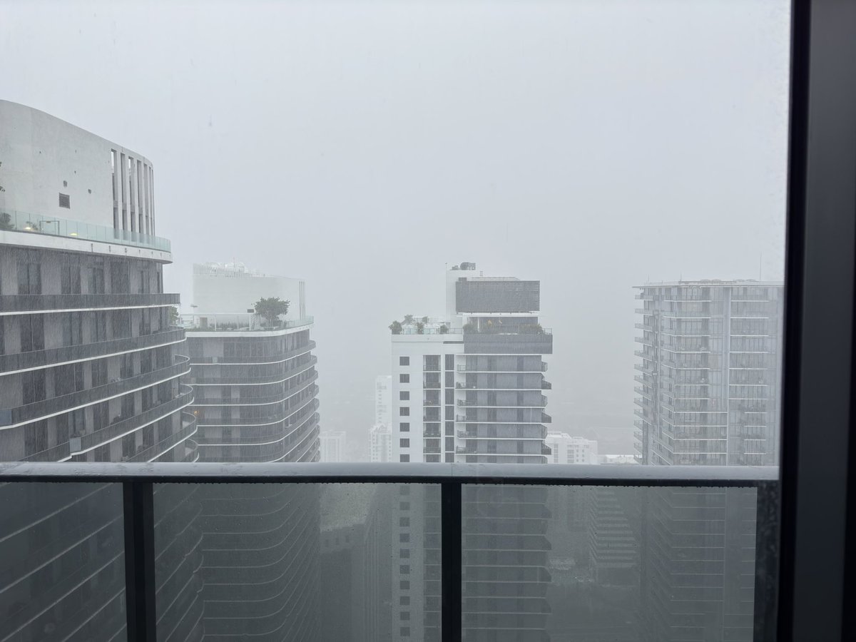 This weather is the bees knees 🐝