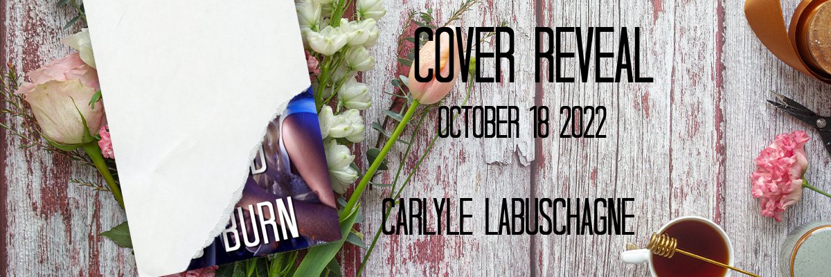 #bloggerswanted Bound To Burn COVER REVEAL
International and USA Today Bestselling author 
Cover reveal date - October 18 2022
Genre- Contemporary Romance/ Breast Cancer survivor
Publisher - CHBB Publishing
forms.gle/QowndXL1uSffap…
#bloggersrequired