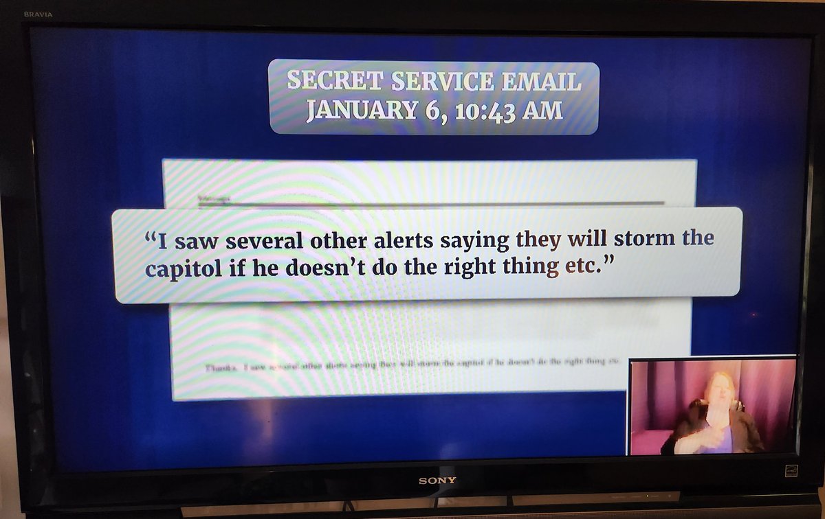 TheSWPrincess's tweet image. If you aren't watching the #Jan6thHearing, here are some of the #SecretServiceTexts they've shown so far.