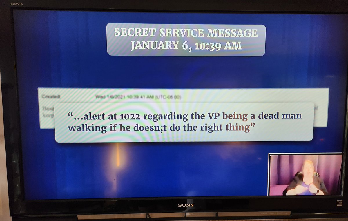 TheSWPrincess's tweet image. If you aren't watching the #Jan6thHearing, here are some of the #SecretServiceTexts they've shown so far.