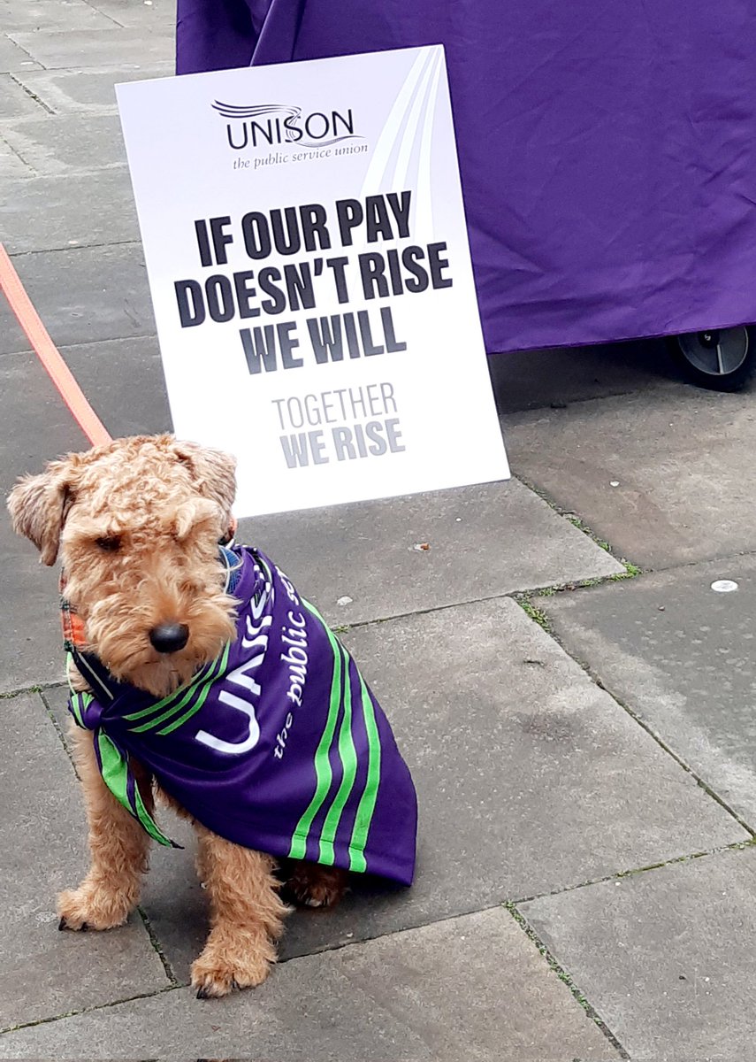 #dogsonpicketlines Always good to have solidarity from our dog friends ❤ #striketober