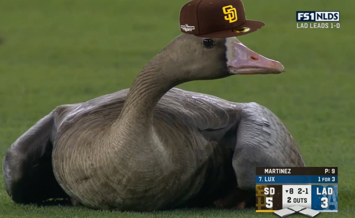 Johnmlb3's tweet image. Candidates for first pitch Friday night: 

- Trevor Hoffman
- Luke Voit 
- Don Orsillo 
- Emma Stone 
- The padres goose 
- Kawhi Leonard 
- Heath Bell
- Taylor Rogers 
- Eric Hosmer in a dodgers jersey 

Who would you like to see throw out the first pitch at petco tommarow?