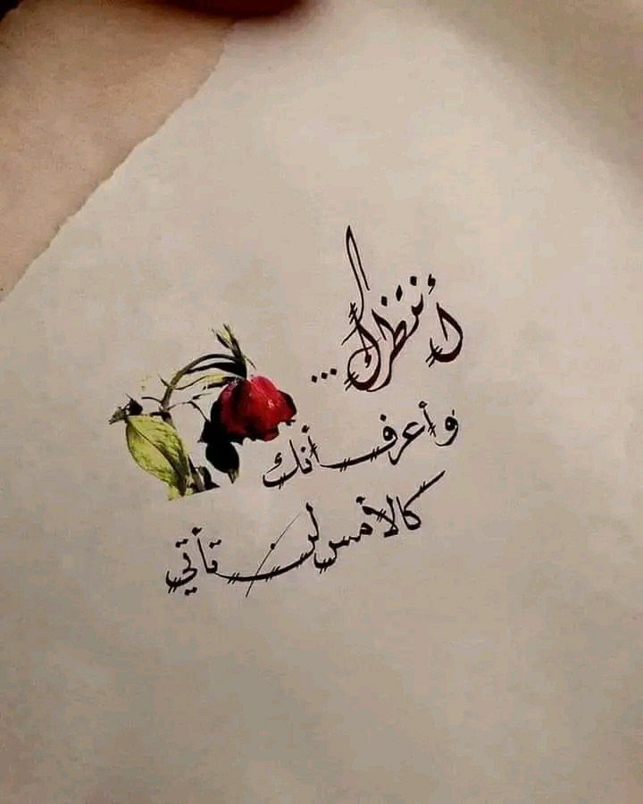 هـميلة 🌻 tweet media