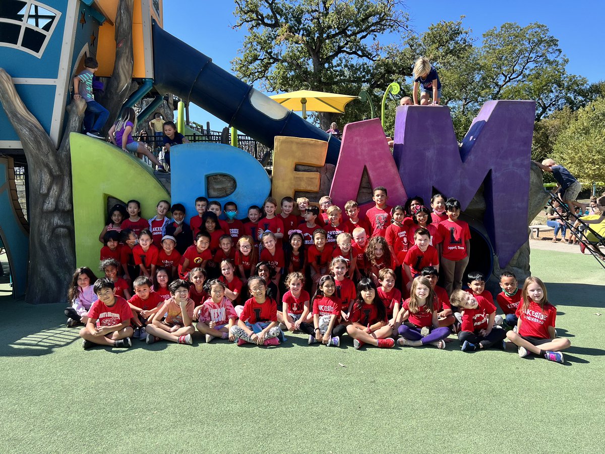 Dani Todd tweet media