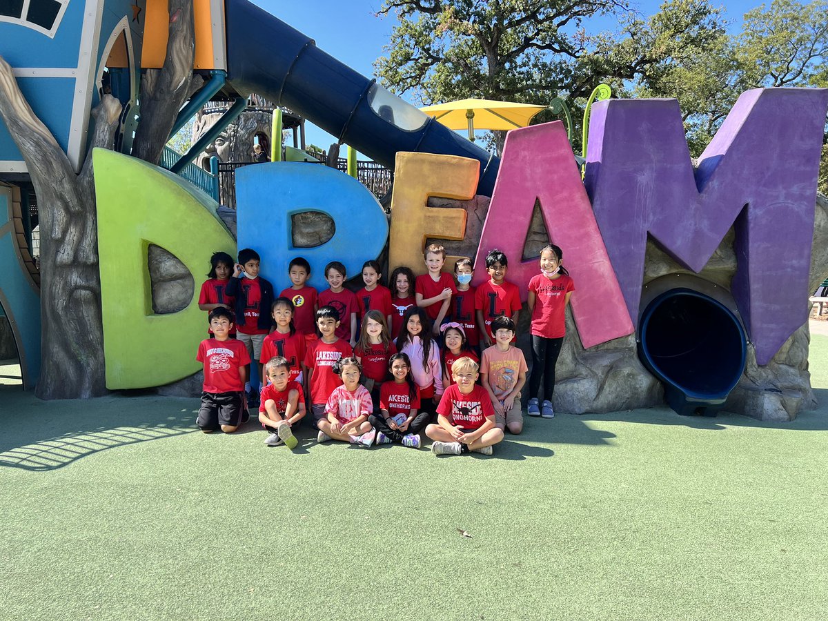 Dani Todd tweet media