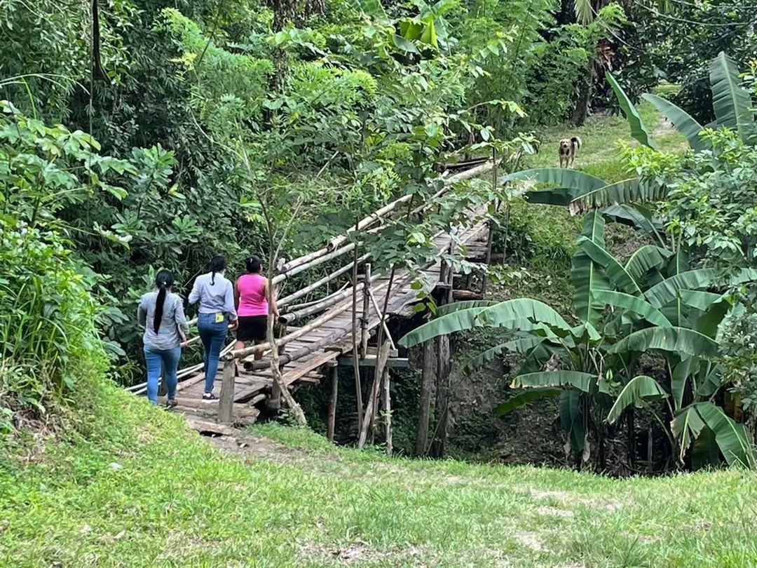Municipio de Penonomé tweet media