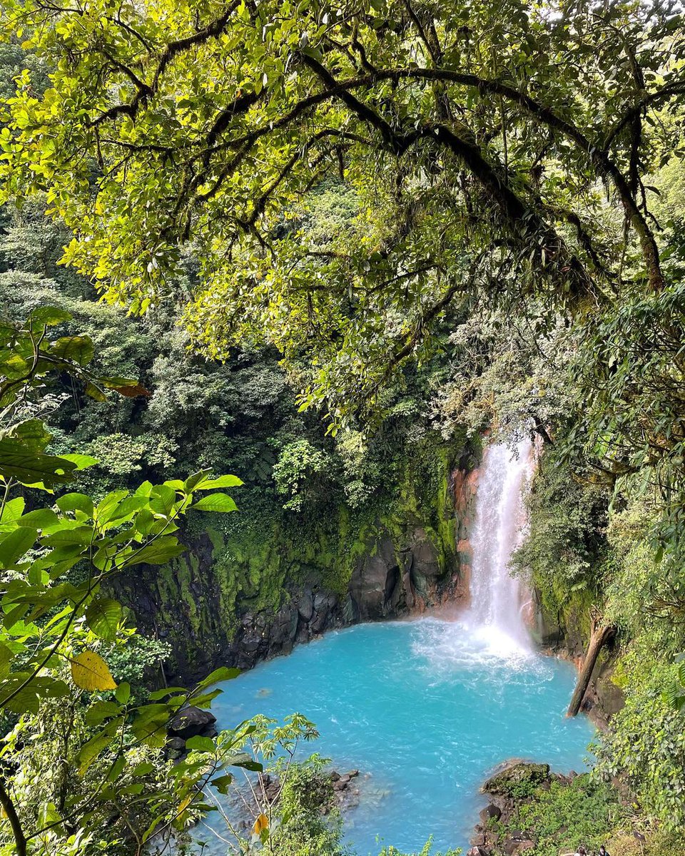 The bright blue waters of Río Celeste may be a natural phenomenon, but we believe there's some magic too. 📍: Parque Nacional Volcán Tenorio, Alajuela, Costa Rica 📷 : what_becky_did