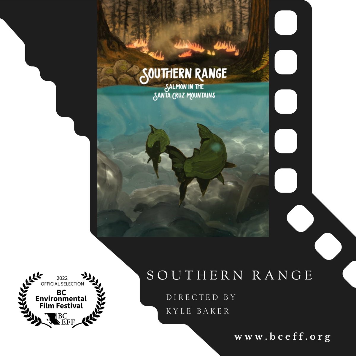 BCEFilmFestival's tweet photo. #BCEFF2022 #OFFICIALSELECTION
Southern Range: Salmon in the Santa Cruz Mountains
#southernrange #salmon #santacruzmountains #santacruz #california #centralcoast #climatechange #wildfire #fish #science #cohosalmon
#Screening #online [Nov 1-30, 2022]
https://t.co/sCiDIRir98 https://t.co/FoQfDFanKq