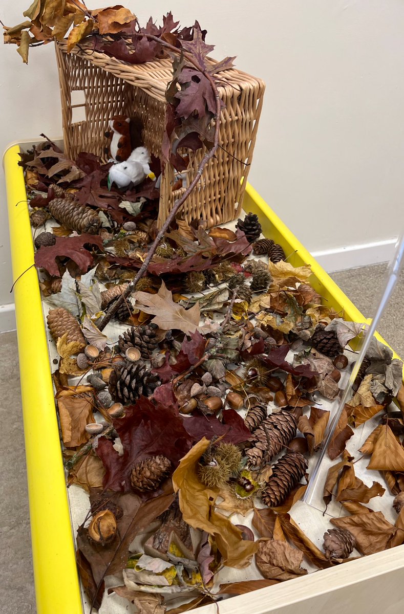 IqraPrimaryA's tweet photo. Early years are exploring autumn linked to a key text Owl Babies #weareiqra #autumn2022 #exploringseasons #eyfsstem https://t.co/2024Psntlz