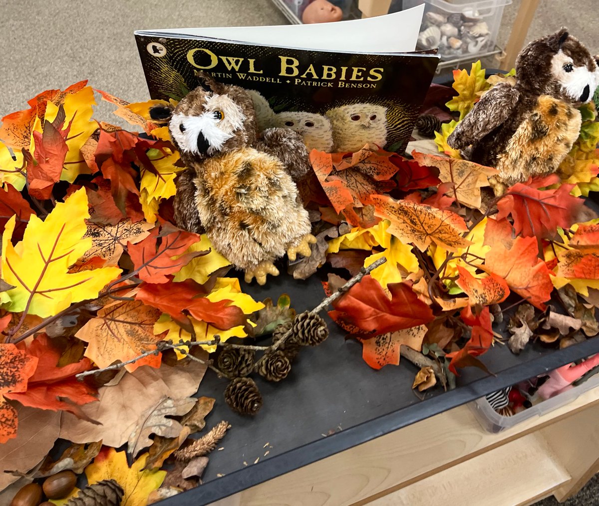 IqraPrimaryA's tweet photo. Early years are exploring autumn linked to a key text Owl Babies #weareiqra #autumn2022 #exploringseasons #eyfsstem https://t.co/2024Psntlz