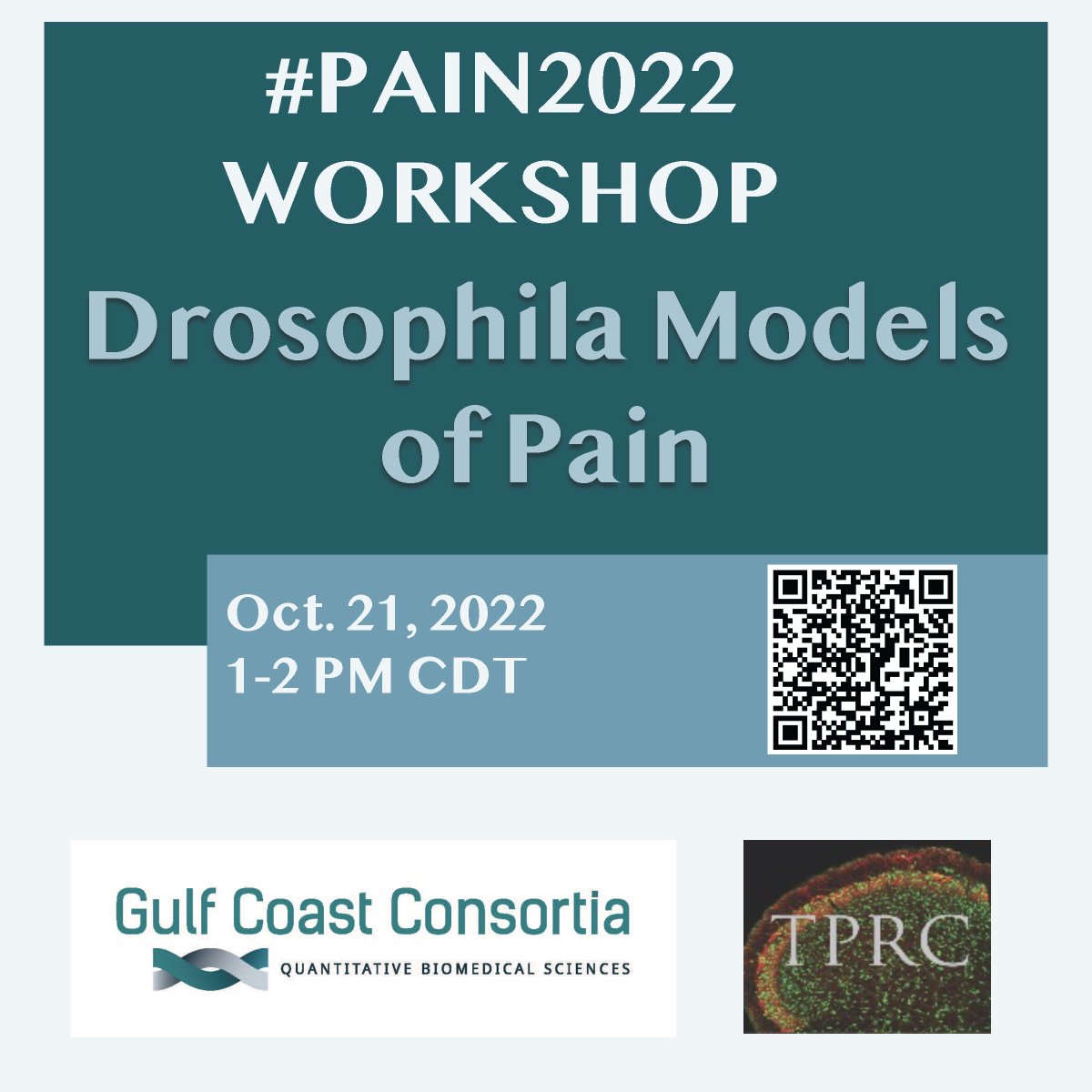 GCC_Research's tweet photo. Invitation: #Pain2022 Workshop, Drosophila Models of Pain, Oct. 21, 1-2 pm (CDT) - https://t.co/e53FVU3TkQ https://t.co/oQqGFunL2j
