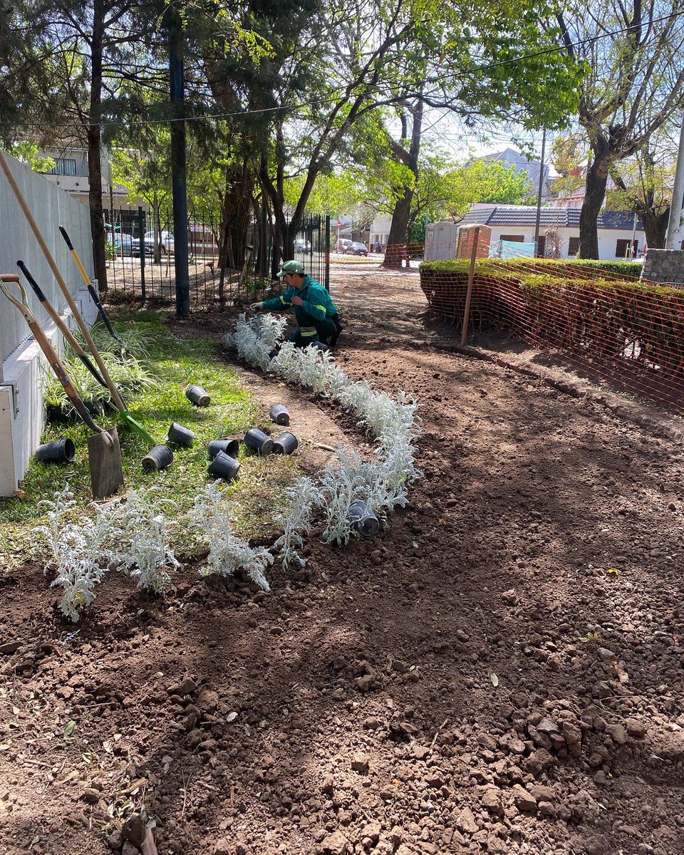 Todos los días realizamos tareas de mantenimiento para seguir mejorando los espacios verdes. 🤩

En este caso se llevaron adelante plantaciones 🪴 alrededor del nuevo canil de Plaza Terán. 

🙏 Ayudanos a cuidarlas, sin pisarlas ni jugando cerca.