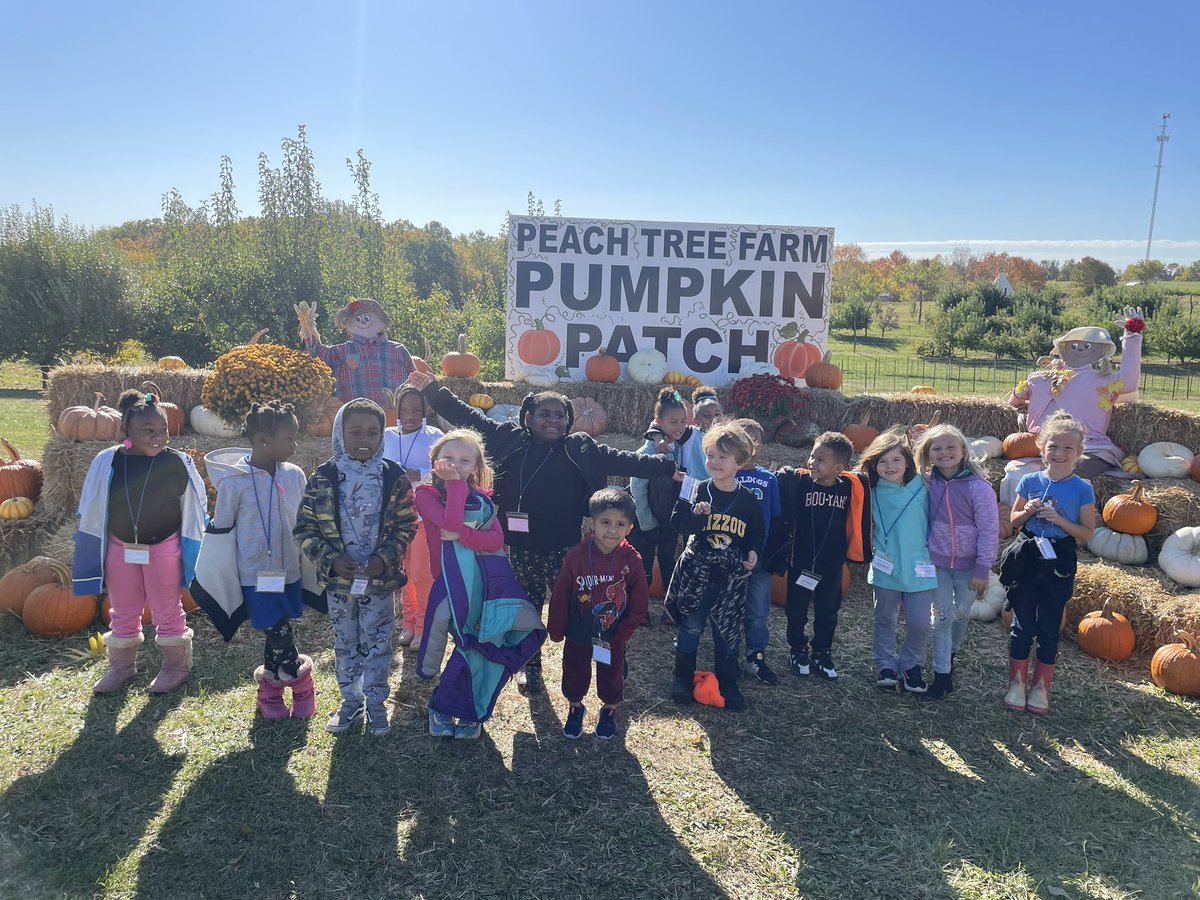 Eryn Day tweet media